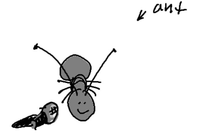 ant